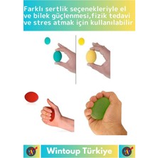 Wintoup Özel Üretim Silikon Fizik Tedavi Egzersiz Stres Topları El Bilek Parmak Güçlendirme Topları 4lü Set