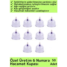 Wintoup Çatlak Giderici Vakumlu 6 Numara Hacamat Kupası 50 Adet