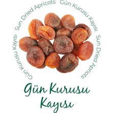 Otamon Gün Kurusu Kayısı 150 gr x 12 Adet