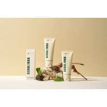 Seoul 1988 Cleansing Foam: Pine Cica 1%+Probiotics, 150ml - Yüz Temizleme Köpüğü