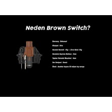Inca Klavye IKG-452 Empousa Rgb Oyuncu Sessiz Gerçek Mekanik El Bilekliği Hediyelidir