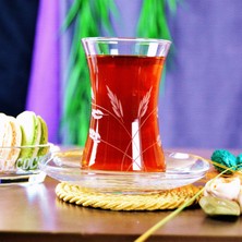 Decocia Nazen 6 Kişilik 12 Parça Çay Seti 175cc Sürgün Desenli