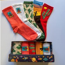 Socks And More Kaktüs Desenli 5'li Çorap Kutusu Unisex Renkli