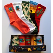 Socks And More Kaktüs Desenli 5'li Çorap Kutusu Unisex Renkli