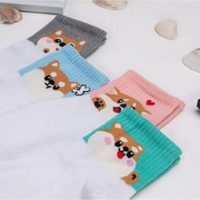 Nixora 4'lü Shiba Inu Yavru Köpek Desenli Kolej Çorap Seti