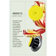 Araba Klima Kokusu, Spin Oto Kokusu, Profesyonel Otomobil Kokusu - Energetic