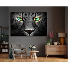 Miyrem Exclusive Serie" Renkli Kaplan Gözleri Kanvas Tablo