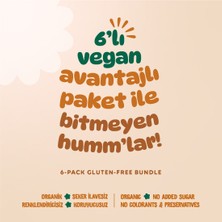 Organik Vegan Ara Öğün Atıştırmalık Paketi- 6 Adet (6 Çeşit)