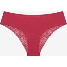 Penti Wild Flower Lacy Detailed 3lü Çok Renkli Hipster Külot