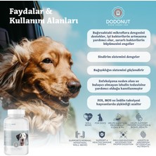 Dodonut Küçük Irk Köpekler Immune Booster Seti, Superfish Oil, Liver&kidney Detoks, Naturaflora Probiyotik