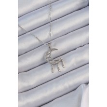 Çarşı Point 316l Çelik Zincir Gümüş Renk İşlemeli Zirkon Taşlı Ay Kolye