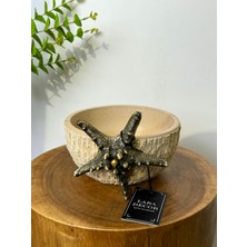 Deniz Yıldızlı Kase