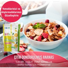 Vita-Me Freeze Dried Pineapple Dondurularak Kurutulmuş Çıtır Ananas Atıştırmalık 20 gr