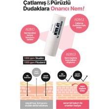 %1 Seramid Içeren Büyük Boy Yoğun Nemlendirici Dudak Balmı Derma Factory Vegan Ceramide Lip Balm