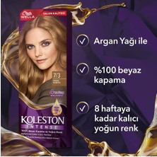 Koleston Intense Saç Boyası 7/3 Fındık Kabuğu - Salon Kalitesi - MCT7275-4848