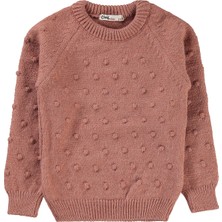 Civil Girls Kız Çocuk Kazak 2-5 Yaş Gül Kurusu