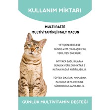 Vitpaw Multi Paste 100 Gr.(KEDİLER İÇİN BAĞIŞIKLIK GÜCLENDİRİCİ VE TÜY YUMAĞI ÖNLEYİCİ MULTİVİTAMİN)