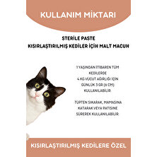 Vitpaw Sterile Paste 100 Gr.(Kısırlaştırılmış Kediler Için Multivitamin ve Minarelli Malt Macun)