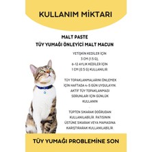 Vitpaw Malt Paste 100 gr Kediler Için Kusma ve Tüy Yumağı Oluşumu Önleyici Malt Macun