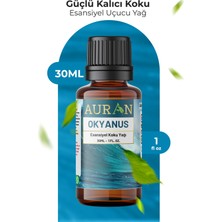 Okyanus Esansiyel Uçucu Koku Yağı Difüzör Esansı Buhurdanlık Yağı Aromaterapi Yağı 30ml