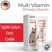 Munich Vet Kedi 3'lü Seti Tüy Sağlığı Damlası + Malt Pasta + Multi Vitamin Pasta Munich Set