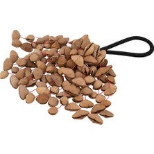 Pearl Pbshkenl Kenari Nut Shaker