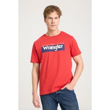 Regular Fit Normal Kesim %100 Pamuk Bisiklet Yaka Tişört