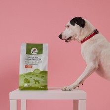 Kito Yetişkin Köpek Maması 2,5 kg + Tavuk Etli Kito Fresh x 6