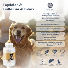 Dodonut Büyük Irk Köpekler Immune Booster Seti, Superfish Oil, Liver&kidney Detoks, Probiyotik