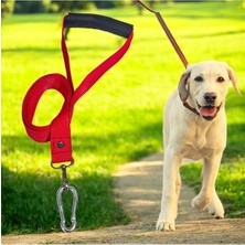 Sıfır312 Kedi Köpek Sevk ve Gezdirme Kayışı 160 cm