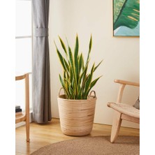 Eglo 426513 "naraha" Doğal Ahşap Sepet 41CM Yüksekliğinde 36CM Çapında