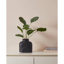 Eglo 421407 "lyaglan" Seramik Vazo 18CM Yüksekliğinde