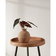 Eglo 421403 "lyaglan" Seramik Vazo 18CM Yüksekliğinde