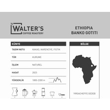 Walter's Coffee Roastery Ethıopıa - Banko Gotıtı - 250GR