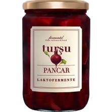 Fermentel Fermente Pancar Turşusu