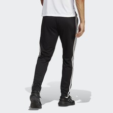 Adidas Performance IB8168 Train Essentials 3-Stripes Training Pants