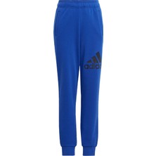 Adidas Sportswear IJ6301 Essentials Regular Fit Big Logo Cotton Pants