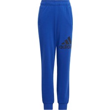 Adidas Sportswear IJ6301 Essentials Regular Fit Big Logo Cotton Pants