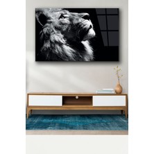 Home Dekors Aslan Cam Tablo Ev Ofis Salon Dekoru  Büyük Tablo