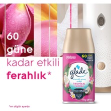 Glade Oda Kokusu Otomatik Sprey Yedek 269ml (8 Li Set) Okyanus Sessizliği ve Tropikal Floral (4pk*2)