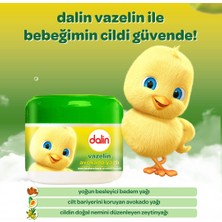 Dalin Vazelin 100ML Nem ve Koruma Avakado Yağlı (5 Li Set)