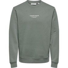 Only & Sons Onscurated Reg Crew Neck Sweat Haki 22030923