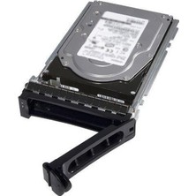 Dell 2.4tb 2.5" 161-BCFV 10K 512E Sas Sunucu Disk