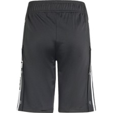 Adidas Originals IT5463 Adibreak Shorts