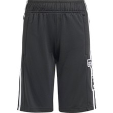 Adidas Originals IT5463 Adibreak Shorts