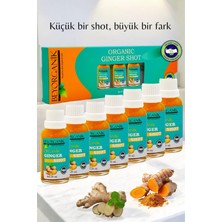 Organik Ginger Shot (7 Adet x 30ML)