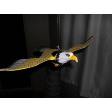 Ct Toys Kanat Çırpan Uçan Pilli Kartal Kedi Oyuncağı Kuş Karga Kovucu
