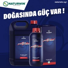 Naturwin Max Phosfozinc %40 Fosfor %5 Azot %5 Çinko %0,5 Bor Sıvı Gübre 1 Lt