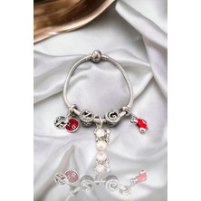 Defne Silver Sallantılı Noel Baba Kırmızı Charm