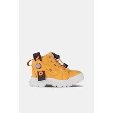 Vicco Marcus Bebe Bot